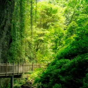 Discover Zhangjiajie's Best Highlights