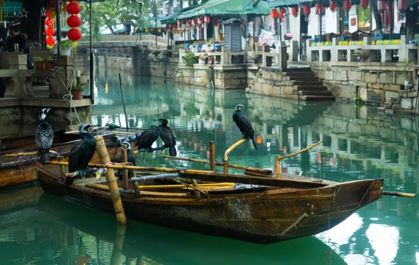 Tongli Città Antica: Un viaggio Secluded da una prospera città d'acqua a un giardino di Ritiro-4