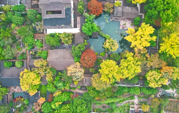 Il Giardino di Lingering: Un paesaggio tridimensionale fluente-3