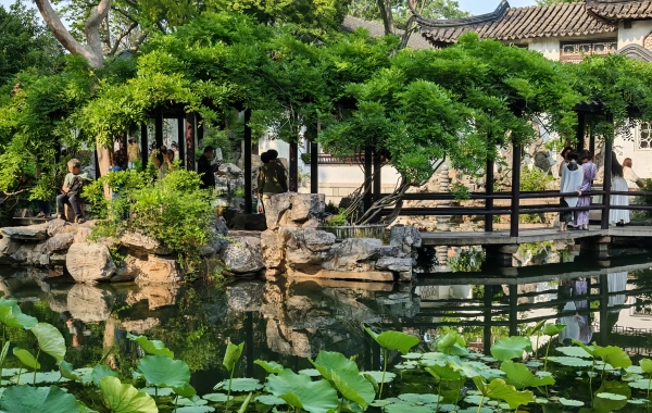 Il Giardino di Lingering: Un paesaggio tridimensionale fluente-4