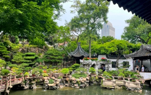 5 Days Zhangjiajie Tour