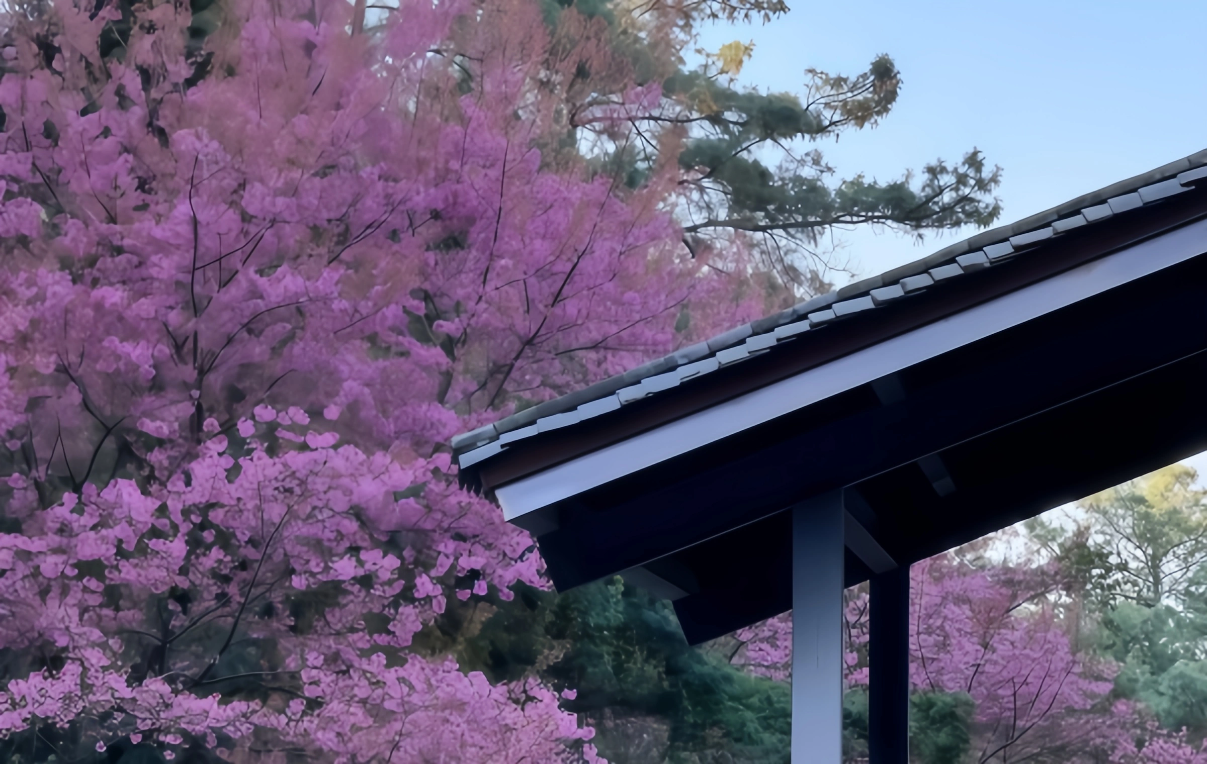 Xishan Park: un Millennium Watch dalla 