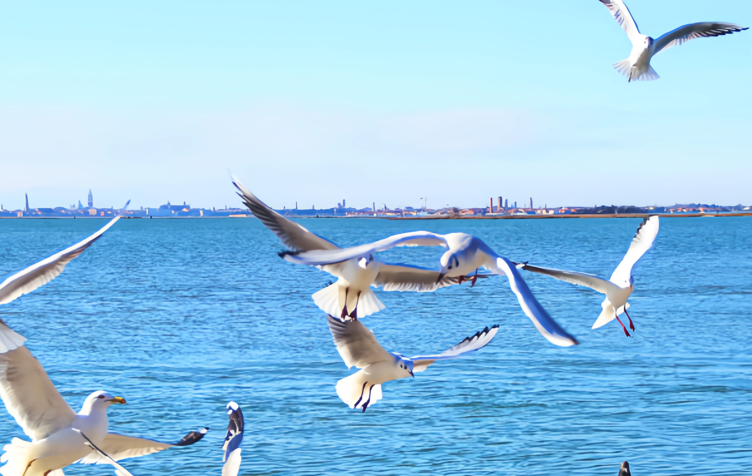  Lago Dianchi: Un viaje poético milenario de 