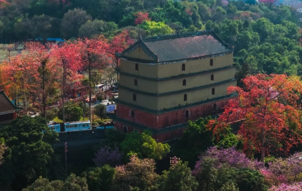 Yuexiu Park: A Thousand Year Walk from Nanyue Wangtai to Yangcheng Green Heart-3