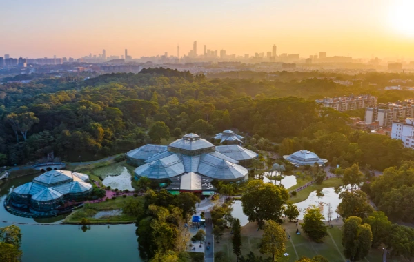 South China Botanical Garden: A vibrant epic of plant evolution and a journey to an urban oasis.-2