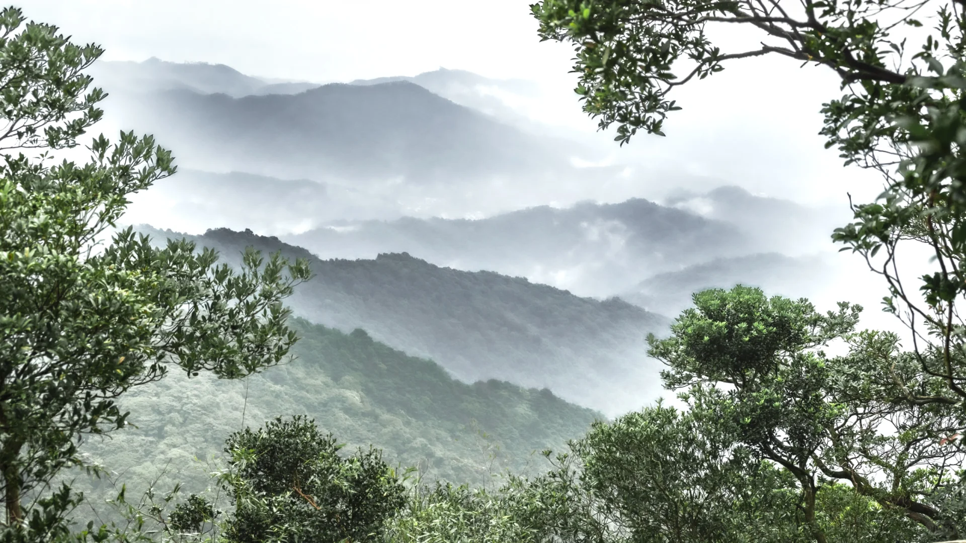 ルオフ山:リンナンのプレミアマウンテンのワンダーランドを探索する旅-2