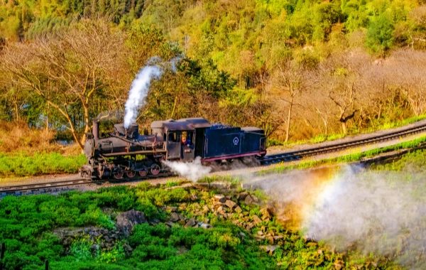 嘉陽小列車:花海を通る産業革命の生きた化石-3