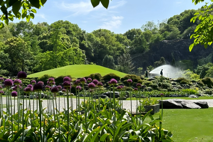 Chenshan Botanical Garten: Eine grüne Wiedergeburtsreise von verlassener Mine zum ökologischen Heiligtum