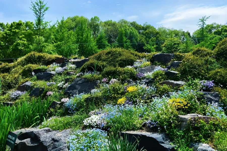 Chenshan Botanical Garten: Eine grüne Wiedergeburtsreise von verlassener Mine zum ökologischen Heiligtum-3