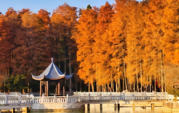 Fuzhou National Forest Park: Eine grüne Lunge in der Stadt und ein Naturbild des Millennium Banyan King-3