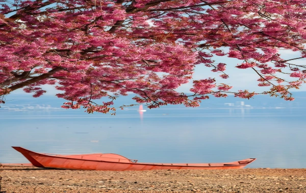 Fuxian Lake: Un viaggio ecologico alla scoperta di una città antica subacquea e di un Santuario blu-4