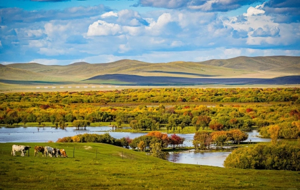 Ergun Wetland:Un viaggio verso il 