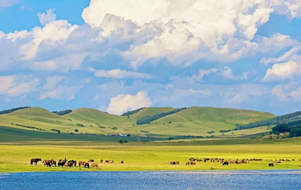 Hulunbuir Grassland:A Voyage vers la rivière la plus éolienne du monde dans le royaume des pâturages-2