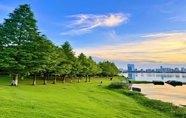 Yanghu Wetland Park:Un voyage de renaissance pour l'humanité et la nature en Chine centrale-Sud-3