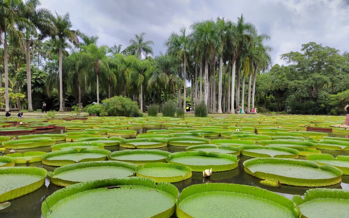 Jour 3: Xishuangbanna