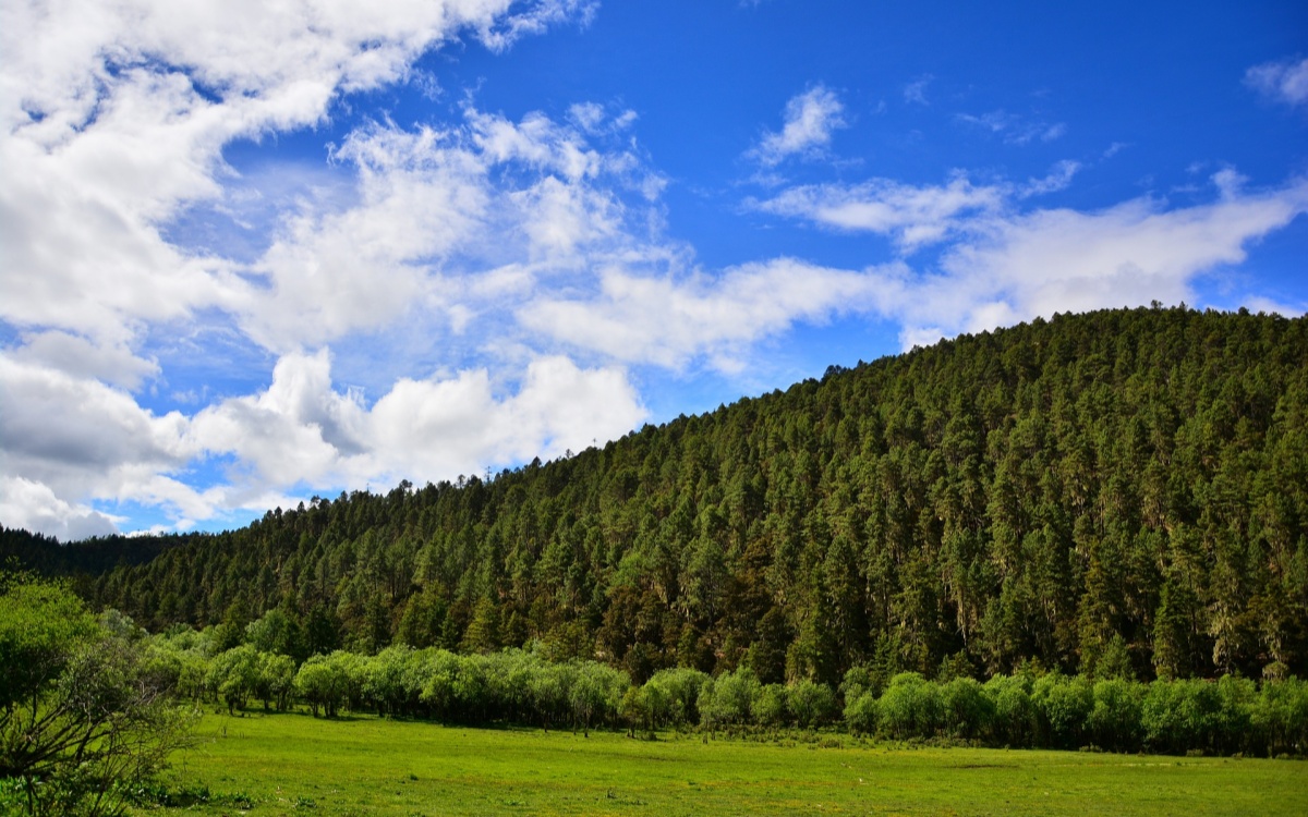 Day 7: Pudacuo National Park & Departure