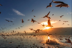  Lago Dianchi: Un viaje poético milenario de 