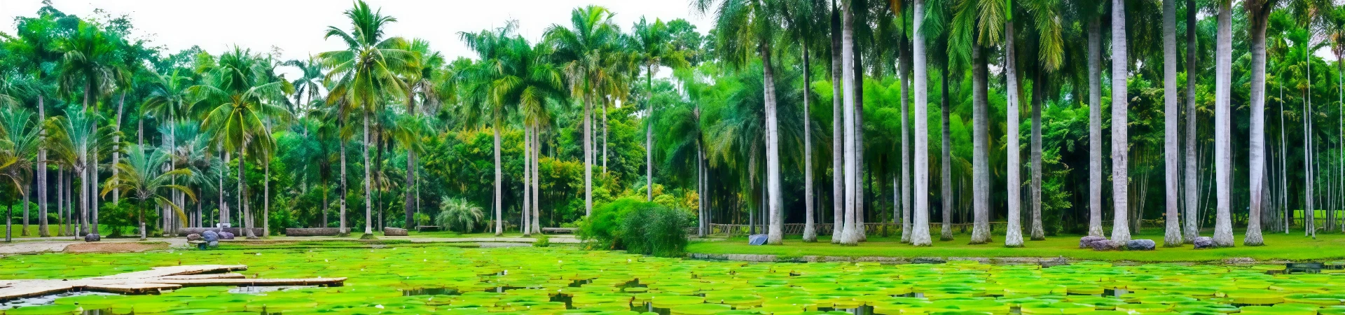 Jardín Botánico Tropical Xishuangbanna