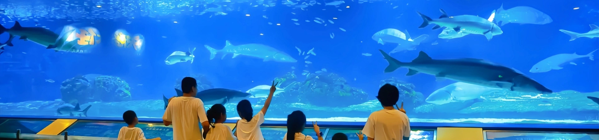 Acuario de Beijing