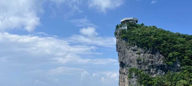 اليوم السادس: زانغجيي - شانغاي