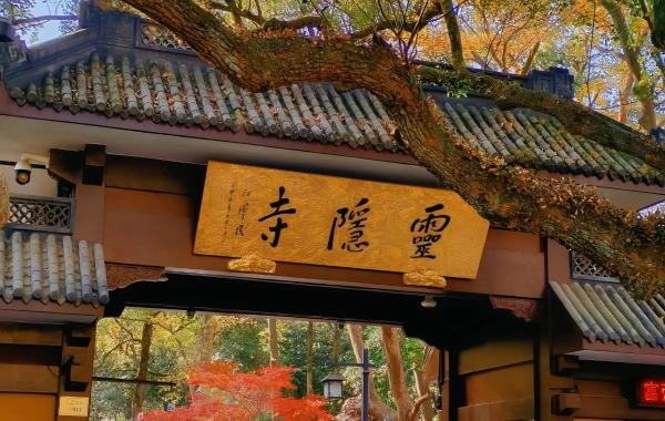 Día 5: Hangzhou - Wangxian Valley