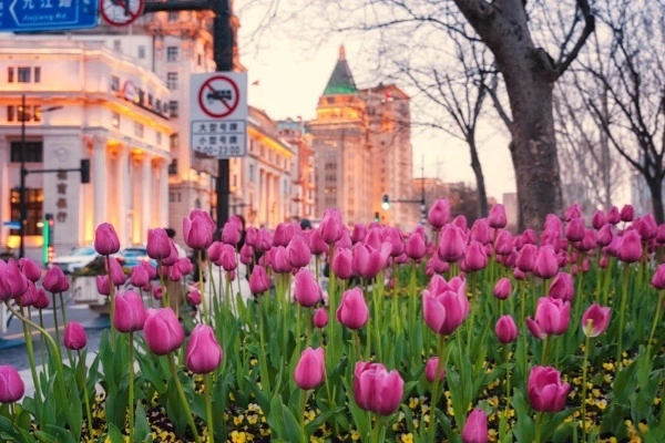 Día 7: Salida de Shanghai