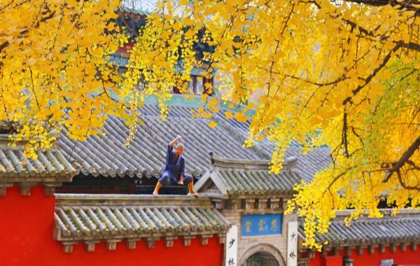 Día 3: Shanghai - Luoyang