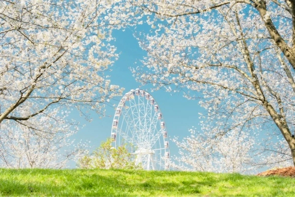 Day 9: Shanghai Departure