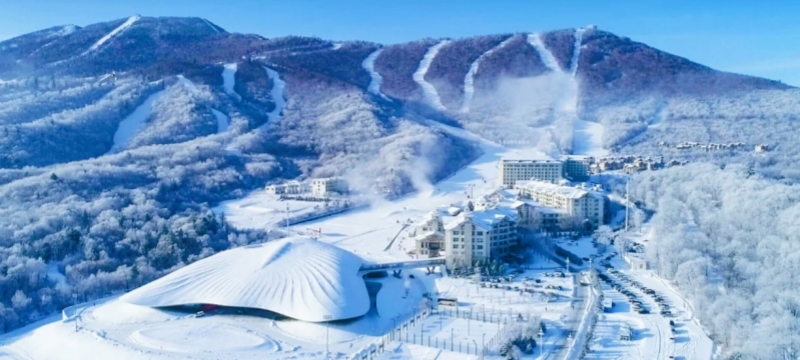 Day 8: Snow Town to Yabuli