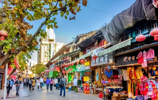 Day 2: Stone Forest & Kunming Old Street