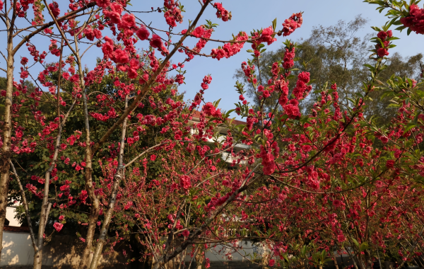 Furong Ancient Town