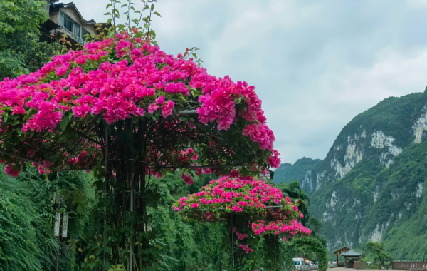 Furong Ancient Town
