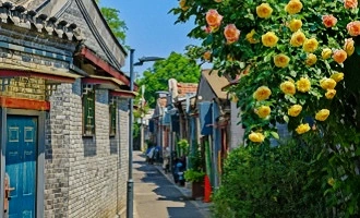 Day 4: Beijing--Chongqing