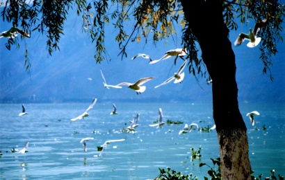 Kunming Dongchuan Red Land 3-Day Tour