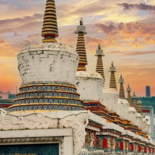 2 Days Xining & Qinghai Lake Cultural Discovery Tour