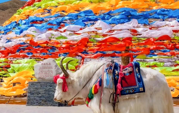 Day 2: Riyue Mountain - Qinghai Lake