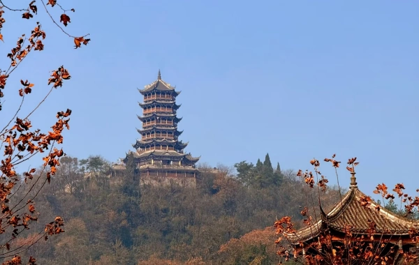 Day5 Dujiangyan Panda Valley 