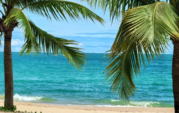 Day 2: Nanhai Guanyin -- Dadongtian/Xiaodongtian / Tianya Haijiao