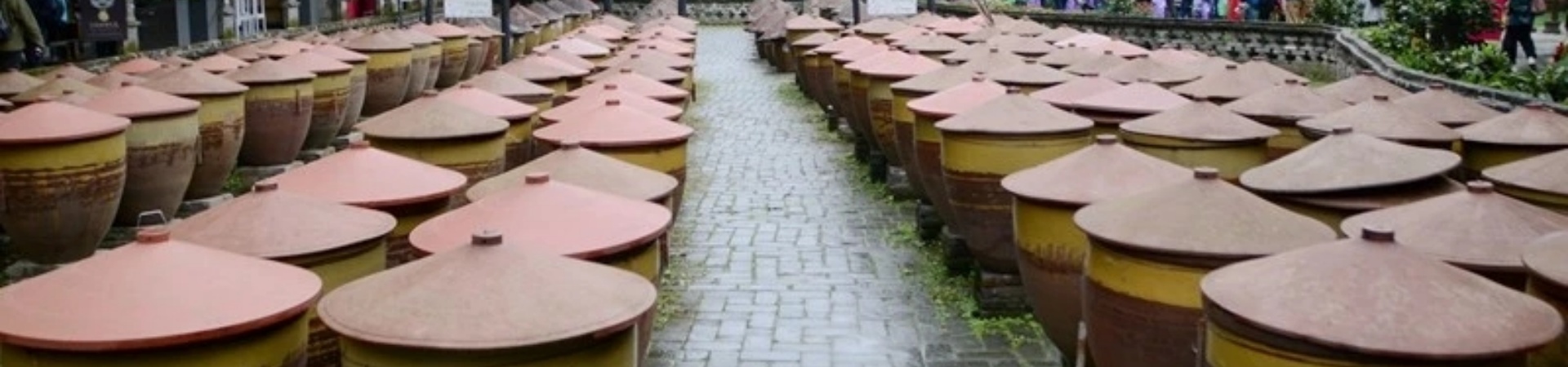 Private one-day trip to Chengdu: Giant Panda Base and Luodai Ancient Town