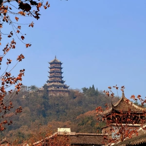 Chengdu Classic Tour