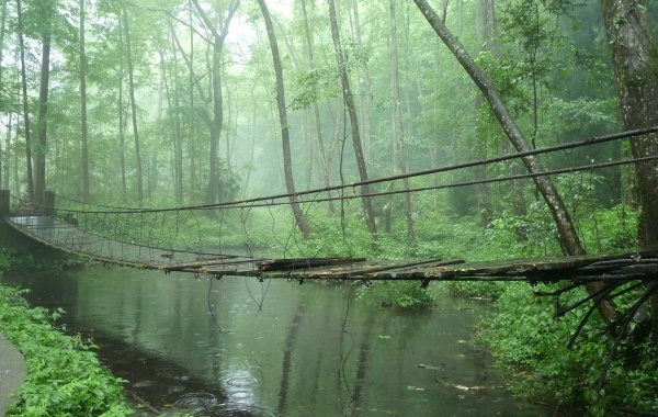 Day 7: Zhangjiajie Departure