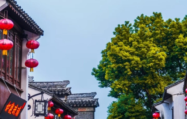 Day 7: Suzhou--Shanghai