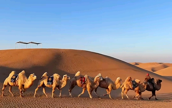 Day 9: Hohhot Departure