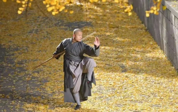 Día 1: Luoyang--Dengfeng