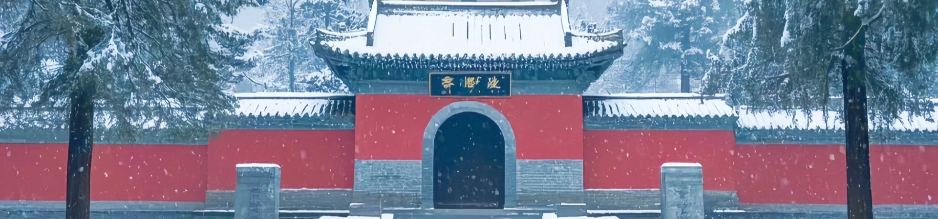 1 día Longmen Grottoes & Shaolin Temple Cultural Tour