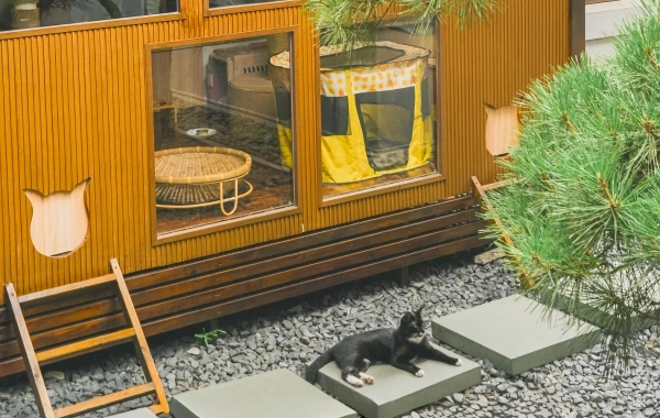 Tag 2: Shanghai-Shangrao