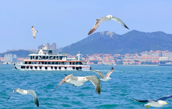 5 giorni costale Tour: Qingdao Weihai Yantai