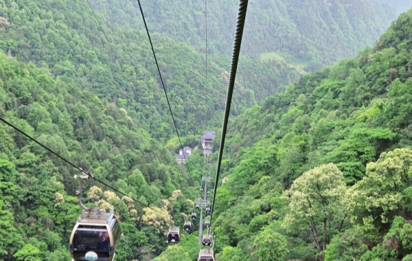 Día 3: Parque Nacional Forestal Zhangjiajie